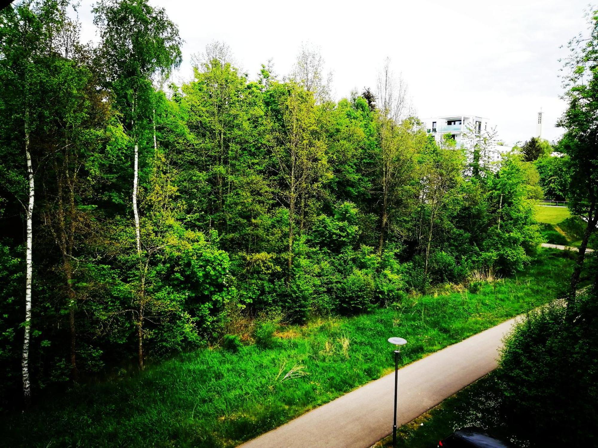 Ferienwohnung Villingen Екстер'єр фото